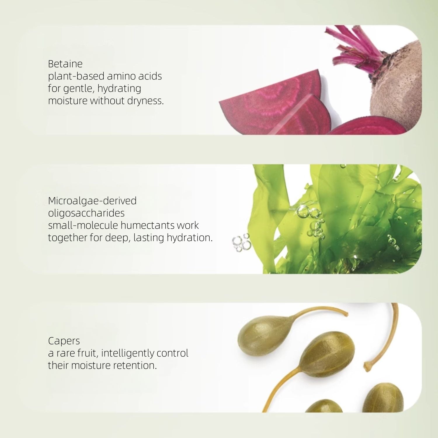 Zhuben Dream River Cleanser 100g